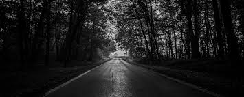 Wallpaper Road Trees Bw Dark Forest Dark Forest Background 4k 2560x1024 Wallpaper Teahub Io Every image can be downloaded in nearly every resolution to ensure it will work with your device. wallpaper road trees bw dark forest