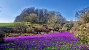 Spring Equinox 2026: What It Means and When It Happens