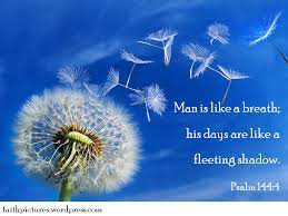 Pin On Quotes