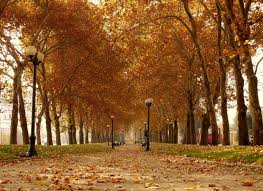 Primavera , verano, otoño e invierno. Estaciones Del Ano En Chile Clima Temperaturas Y Tiempo