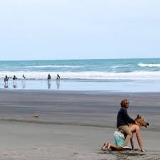 Check spelling or type a new query. Funny Beach Photos And Pictures That Will Have You In Tears