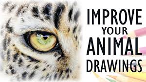 Thexvid.com/video/hpoymsvzk_4/video.html real time drawing tutorials on. Tips For Drawing Realistic Animals Get Better With Colored Pencil Youtube