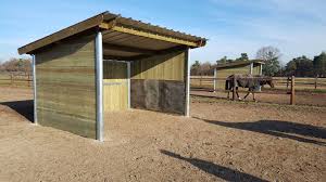 » sera mise à jour significativement. Cheval Chez Soi 5 Conseils Pour Assurer Son Bien Etre Doitrand Equestre