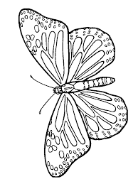 Farfalla Disegni Da Colorare Bambini Disegni Disegnare