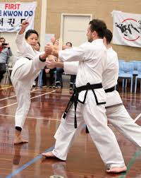First Taekwondo Perth Wa Martial Arts Girl Martial Arts Women Taekwondo Classes
