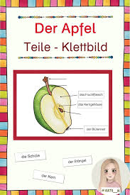 Der Apfel Teile Klettubung Unterrichtsmaterial Im Fach Sachunterricht In 2020 Forschendes Lernen Wortkarte Karteien