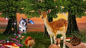 Imagini cu animale salbatice de colorat fise de lucru. Animalele Din Padure áš½áš½ Animale Salbatice áš½áš½ Youtube