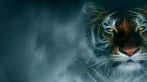 Fractal Tiger Hd Desktop Background Wallpapers Hd Free 501127 Desktop Wallpapers Backgrounds Tiger Wallpaper Destop Wallpaper