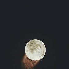 A comprehensive creative toolkit included free with luna, shape is a painstakingly curated luna instrument featuring a collection of the best vintage keys, drums/percussion, guitar/bass, orchestral content, and realtime synthesis, from universal audio, spitfire audio, and more. Luna Mini Acorn Studio