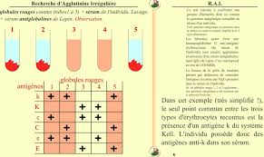 We did not find results for: Groupes Sanguins Et Consequences Medicales Planet Vie