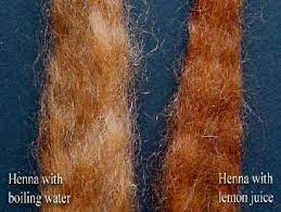 Adding Lemon Juice Can Effect The Colour Result Of Henna Red Henna Hair Henna Hair Dyes Henna