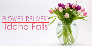 We did not find results for: The 8 Best Options For Flower Delivery In Idaho Falls 2021