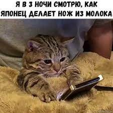 Мемы - Я в 3 ночи смотрю | Facebook