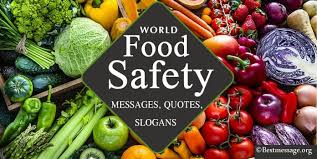 Everyone along the supply chain plays a role to ensure it's safe. World Food Safety Day Messages Quotes Food Slogans 2021