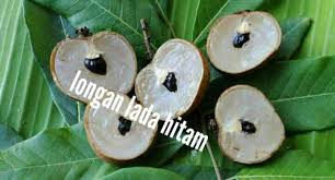 It's about the size of a quarter, with a thin peel that covers a juicy greyish meat that covers a hard shiny dark brown seed. Pokok Hybrid Peminat Mata Kucing N Longan Mata Kucing Facebook