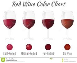 Red Wine Color Chart Hand Drawn Wine Glasses Stock Vector