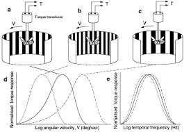 The sensor works by detecting motion in its field of vision, which will cause the light to turn on. Motion Detection In Insect Orientation And Navigation Sciencedirect