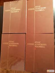 Атлас анатомии человека профессора синельникова — пятитомное издание, вышедшее в государственном медицинском издательстве (москва — ленинград). Atlas Anatomii Cheloveka Sinelnikova Cena 10990 00 Rub Novosibirsk Ngs Obyavleniya