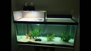 Above Tank Basking Turtle Dock Youtube Turtle Habitat Turtle Dock Turtle Tank