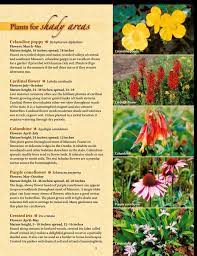 Missouri Native Shade Plants Shade Plants Native Plant Gardening Plants For Shady Areas