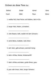 Es hat ganz einfach rätsel für kleinkinder, ebenso wir schwierigere, die für grösser kinder, ja sogar für jugendliche und erwachsene geeignet sind. 46 Quiz Fur Kinder Ideen Quiz Fur Kinder Aktivitaten Fur Senioren Beschaftigung Fur Senioren
