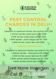 In different sectors, we provide these pest control services with proper planning for reducing pests like ant, termite and others. Termites Info Termite Control Delhi