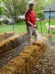 You can plant seeds in the bales according to directions on the package. How To Build A Straw Bale Garden Modern Farmer