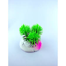 Maybe you would like to learn more about one of these? Rumput Hias Aquarium Plastik Shopee Indonesia