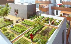 Les Docks De Saint Ouen Les Cinq Principes Fondateurs Du Projet Kebun Tanaman Rumah
