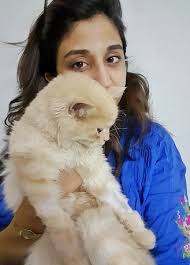 Check spelling or type a new query. When Vets In Pakistan Have No Remorse About Losing Or Killing Your Pet Because Animals Don T Feel Pain