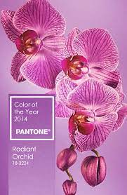 Pantone Color Of The Year 2014 Radiant Orchid 18 3224 Pantone Color Pantone Orchid Color