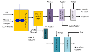 According to table 7, the original optimal conditions ‐defined as however, where maximum alkyl ester content is required, that is for biodiesel production, the higher operating temperatures cause a negative effect. 9 2 The Reaction Of Biodiesel Transesterification Egee 439 Alternative Fuels From Biomass Sources