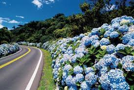Impossível falar de gramado sem falar de café colonial. Portal Gramado A Cidade