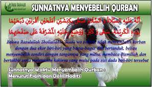 Penyembelihan, qurban dan akikah— transcript presentasi sedangkan menurut syariat islam adalah penyembelihan binatang ternak yang memenuhi syarat tertentu dilaksanakan pada waktu tertentu, dengan niat ibadah. Pin Di Dutadakwah