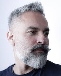 Image result for short hair haircuts men over 50