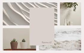 Colouroftheyear2019 Plascons Ravine Is The Paint Companys