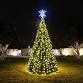 Annual Christmas Tree Lighting