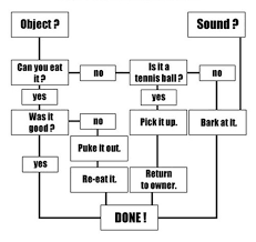 Dog Brain Flowchart Deep Fried Bits