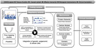 Abdul d one lokaci 8. From Genetic Association To Molecular Mechanisms For Islet Cell Dysfunction In Type 2 Diabetes Sciencedirect