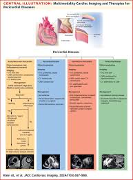 Pericardial Diseases: International Position Statement on New Concepts and  Advances in Multimodality Cardiac Imaging | JACC: Cardiovascular Imaging