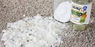 Clean Carpet Pet Stains Naturally The Bark