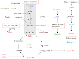 Nuclear Magnetic Resonance Based Metabolomics And Metabolic