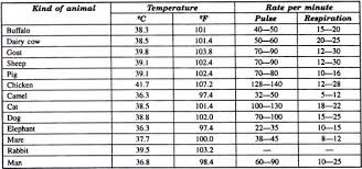 determination of temperature pulse and respiration of animals