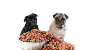 Since this recipe is designed for small breeds, the kibble size is smaller than. What Is The Best Dog Food For Pugs With Skin Allergies