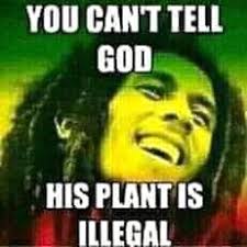 Black Militancy Repatriation Village