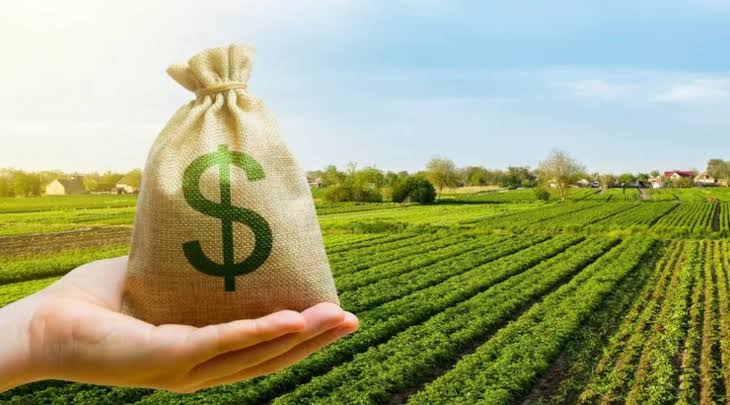 Tremendo: Argentina, el país que menos apoya al agro de todo el mundo
