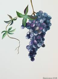 Use them to learn about different techniques, watch how colors mix and doodle wash has an interesting project that teaches about values of a color. 55 Easy Watercolor Painting Ideas For Beginners In 2021