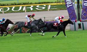 Jraãƒ€ãƒŽãƒ³ã‚­ãƒ³ã‚°ãƒªãƒ¼ ã‚µãƒ¼ãƒˆã‚¥ãƒ«ãƒŠãƒ¼ãƒªã‚¢ä»¥ä¸Š å¼·è±ªg1é¦¬ã‚'å‡ºé…ã‚Œè¹´æ•£ã‚‰ã—è±ªè„šã«æˆ¦æ…„ Gj