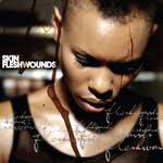 are the stars out tonight? gay, lesbian and bisexual artists