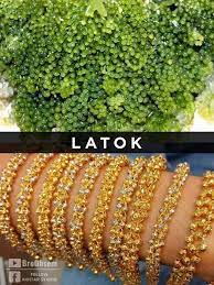 Harga gelang emas adalah salah satu yang menjadi perhatian ketika seseorang hendak membeli sebuah gelang emas. Nama Nama Gelang Emas Popular Blog Sihatimerahjambu